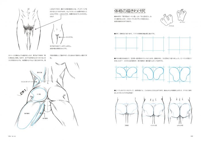 買動漫 Acg網路書店 現貨 男のお尻の描き方男性臀部的描繪畫法