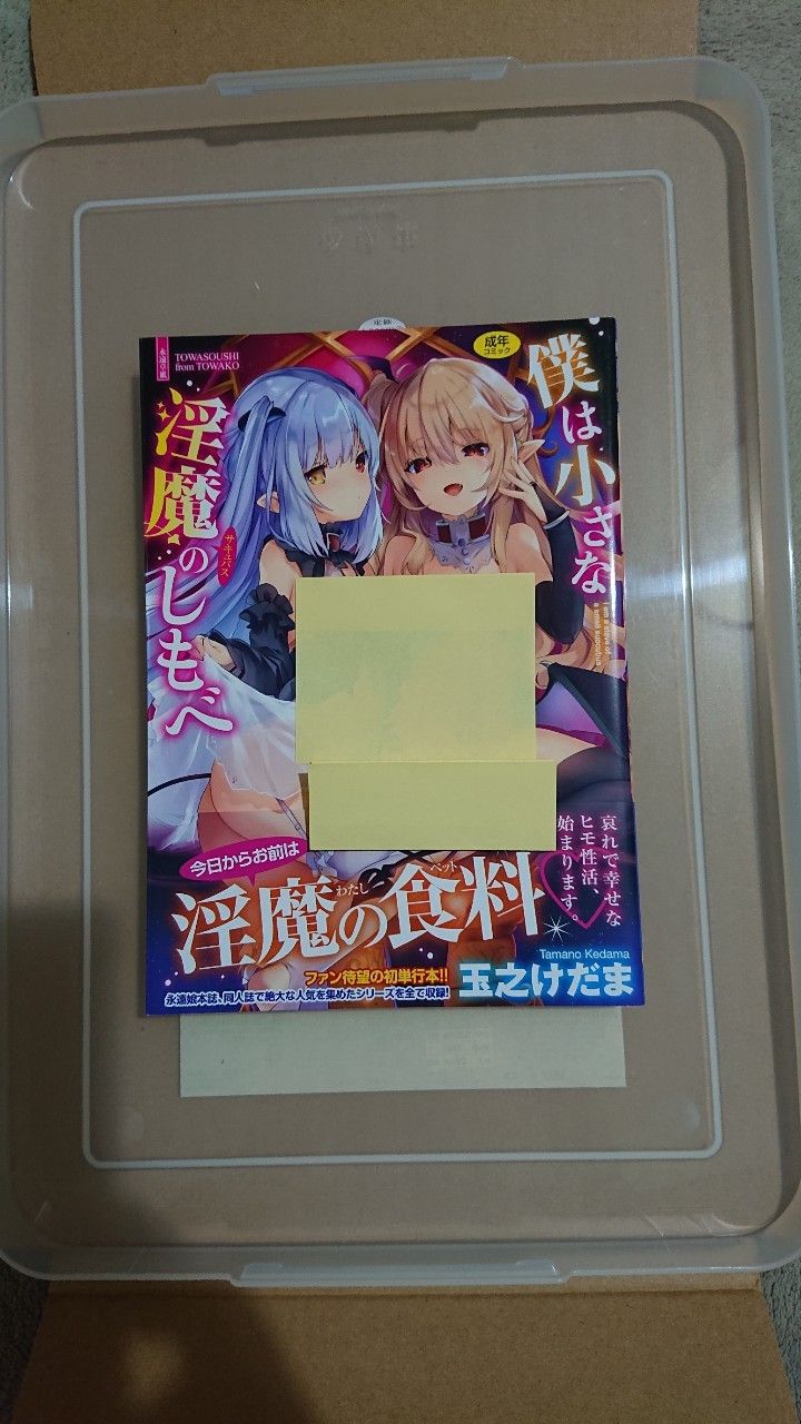 僕は小さな淫魔のしもべ B2タペストリー ver. 毛玉牛乳 玉之