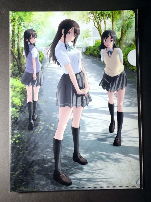 買動漫 Ge小舖 現貨 清戀アズメーカー動畫版l夾資料夾文件夾a款常木耀桃乃今日子宮前透日版全新未拆