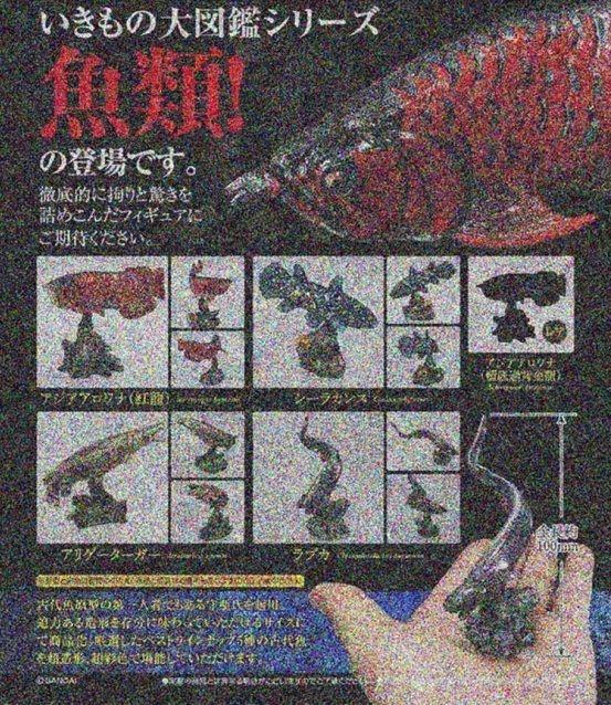 【奇蹟@蛋】預約10月新品BANDAI (轉蛋)生物大圖鑑-古代魚篇 全5種整套販售