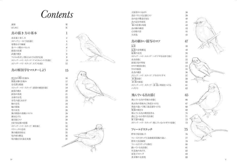 買動漫 布魯樂 代訂 空運 日版書籍 鳥の描き方マスターブック 骨格を理解していきいきとした姿を描く鳥類姿態描繪技法完全講座