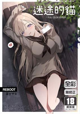 迷途的貓