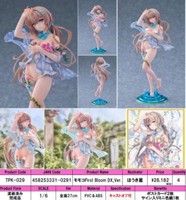 PCほうき星桃子