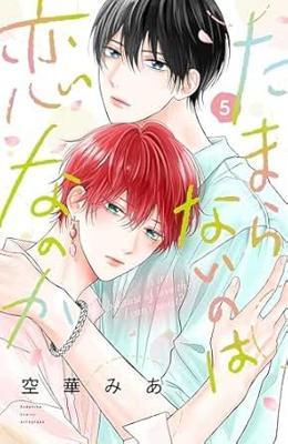 難以承受的悸動是戀愛嗎？5特裝版26年6