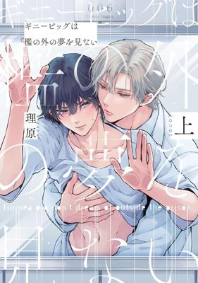 豚鼠看不見籠子外的夢想